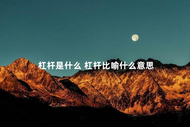 杠杆是什么 杠杆比喻什么意思